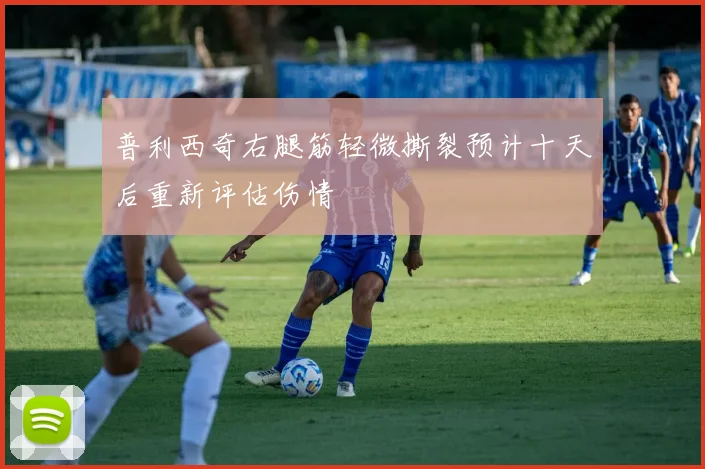 普利西奇右腿筋轻微撕裂预计十天后重新评估伤情