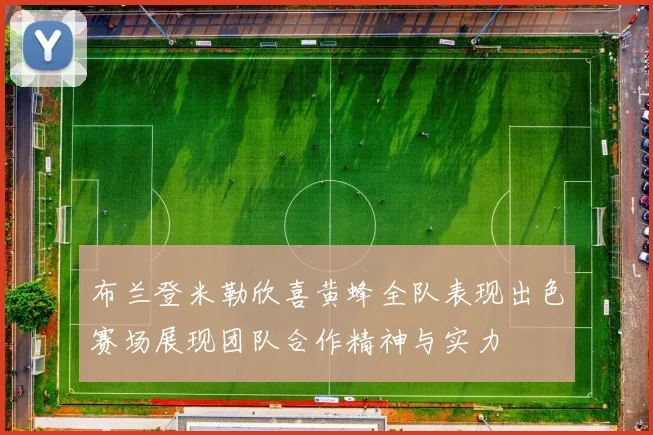 布兰登米勒欣喜黄蜂全队表现出色赛场展现团队合作精神与实力