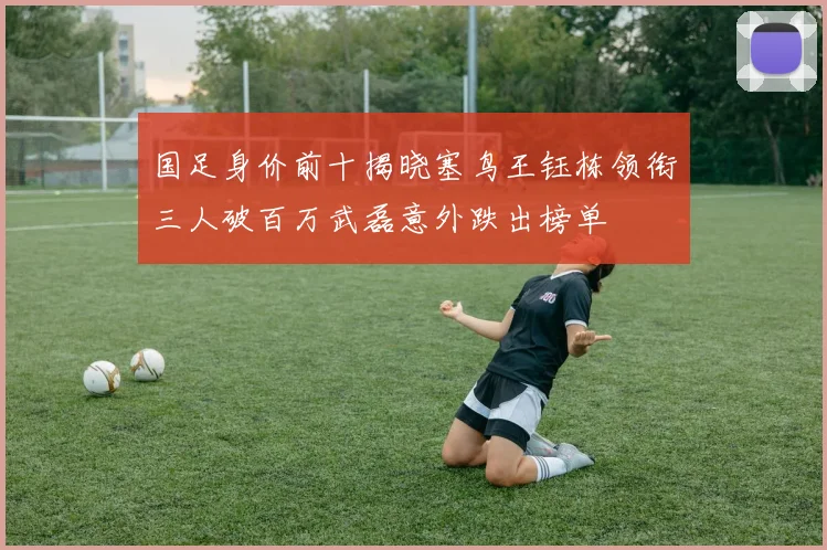 国足身价前十揭晓塞鸟王钰栋领衔三人破百万武磊意外跌出榜单