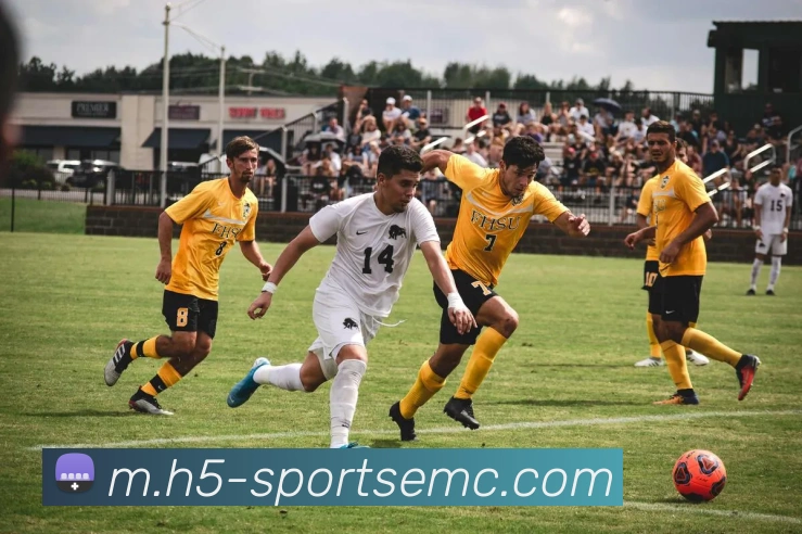 易倍体育平台生态图