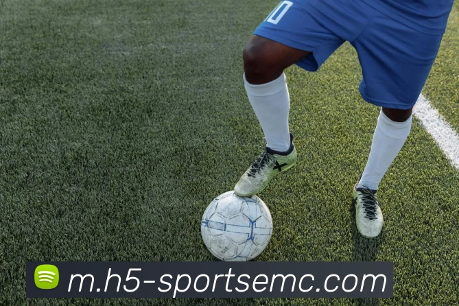 易倍体育APP 封面图